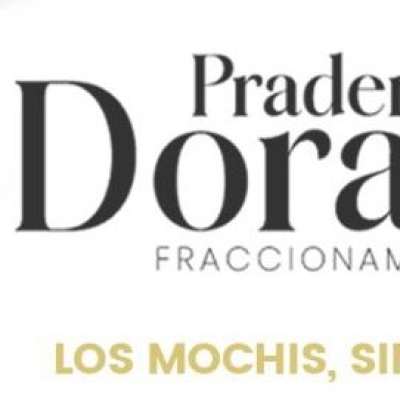 WhatsApp Image 2024-05-02 at 9.41.51 AM